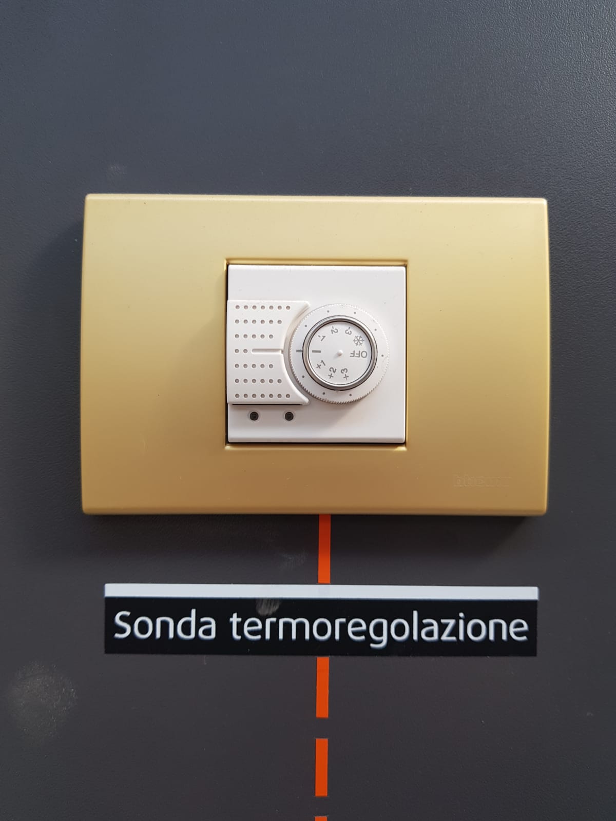 Espositore BTicino aXolute My Home