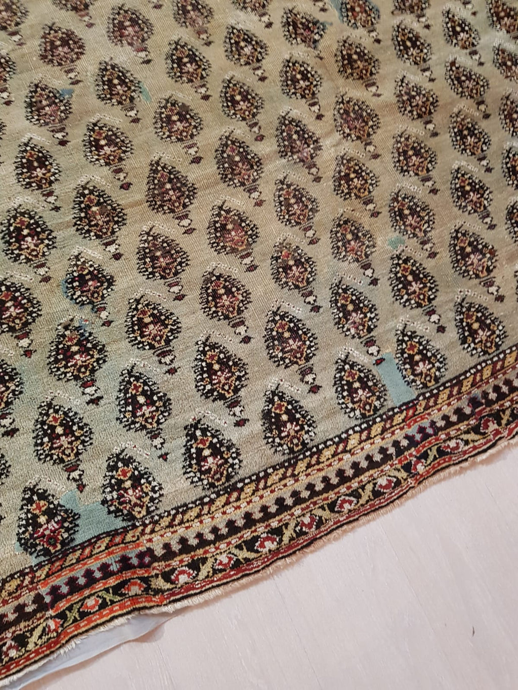 Tappeto Malayer 300 x 450 cm