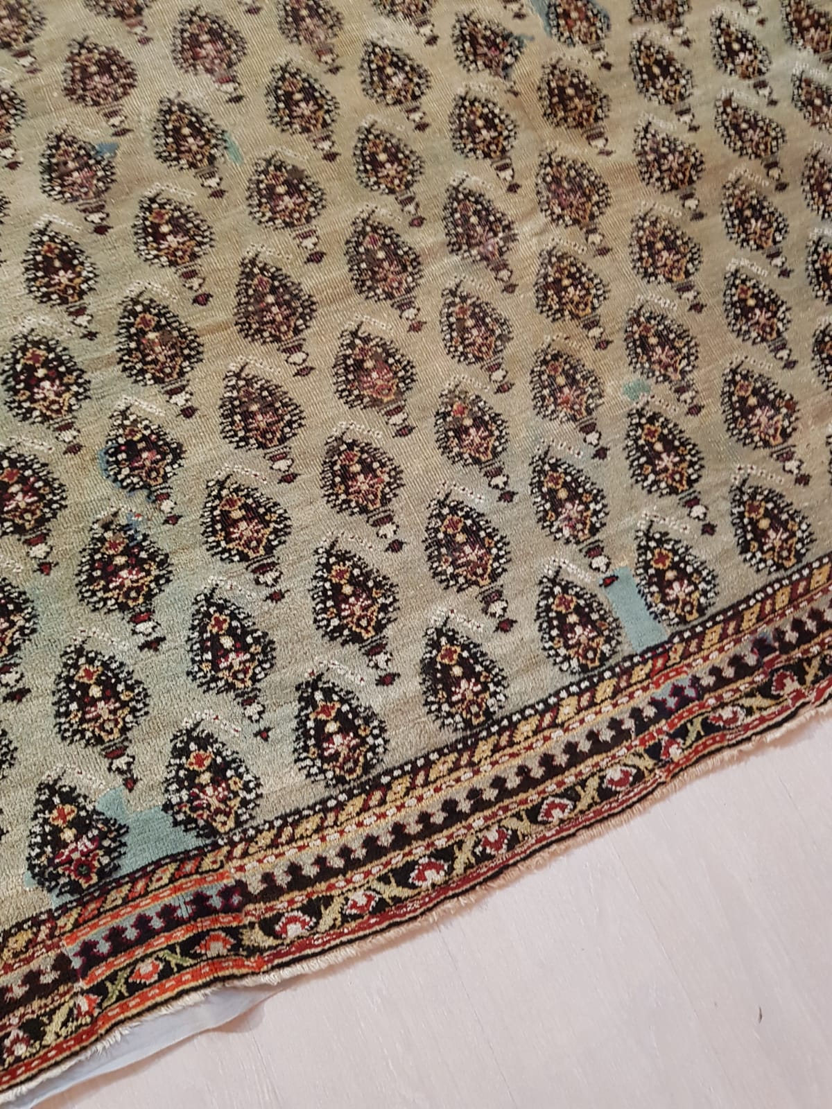 Tappeto Malayer 300 x 450 cm