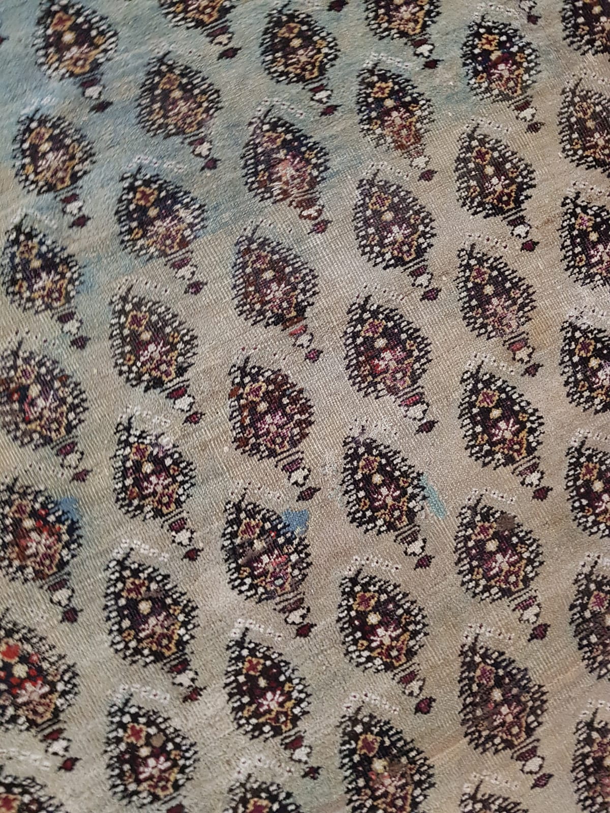 Tappeto Malayer 300 x 450 cm