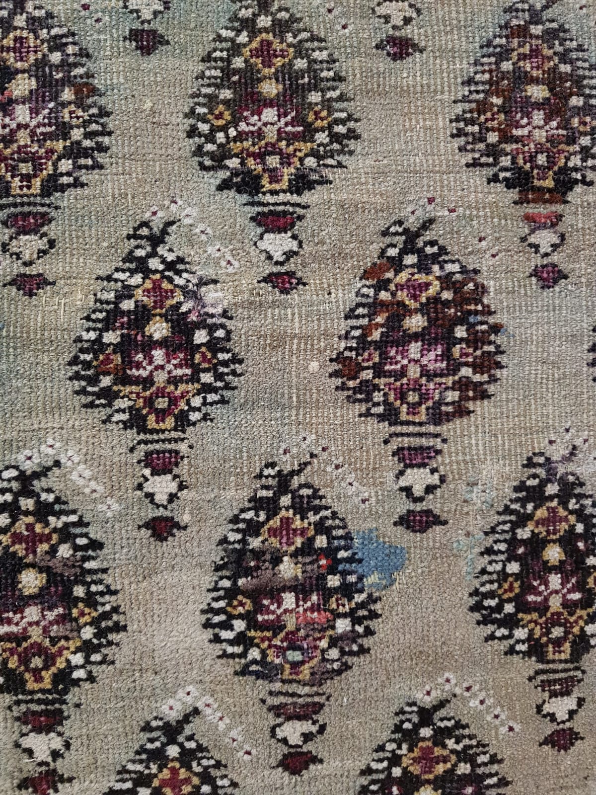 Tappeto Malayer 300 x 450 cm