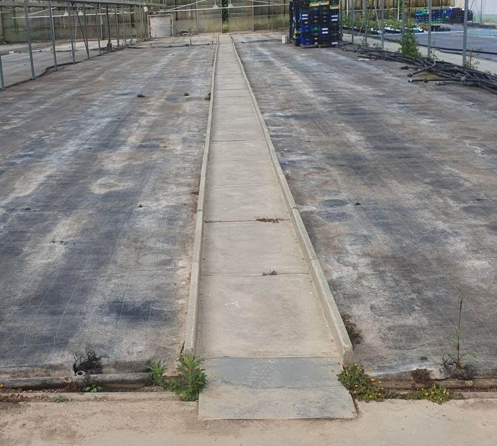 CAMMINATOI prefabbricati 70 x 100 cm per serre e giardinerie